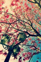 /album/like-ha-tetszik-es-jonnek-az-ujak-d/alap-129-jpg/